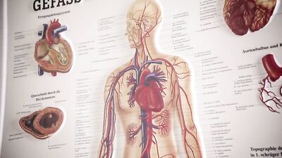 Gay Porn Body Check Up - Exploring Medical Bareback Pleasures!