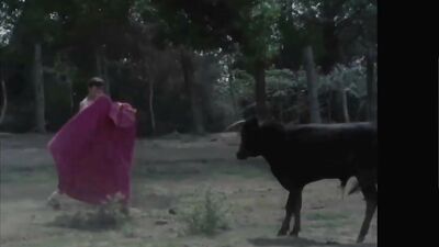 Naked Bullfighters - Movies Straight Boys