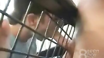 Young & Ready - Gay Porn Tube