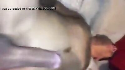 Bareback Big Dick XXX: Action Amateur Bareback Delight!