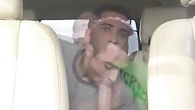 Straight to the Point: Hot Amateur Cocks and Blowjobs