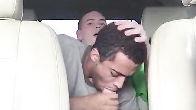 Straight to the Point: Hot Amateur Cocks and Blowjobs