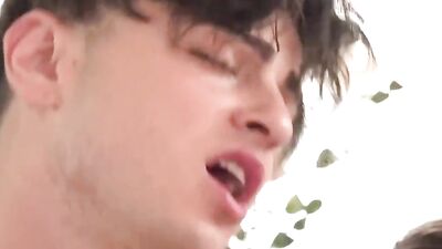 Rent an apartment gay porn videos