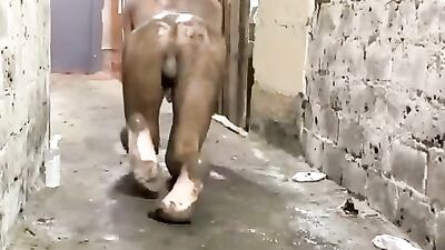 Dirty Feet Fisting in an Alley: Amateur Anal Games