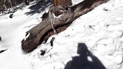 Tied Up Twink Lets Go and Submits To Wild Man - Adam Ramzi, Troye Jacobs - DisruptiveFilms