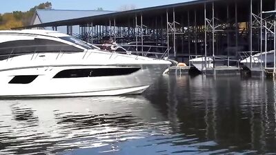 # Theyre having fun - 139: Public Outdoor Bareback Group Handjob Cum Shots Oral Action