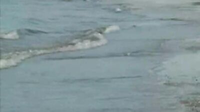 Gay Porn: Action-Packed Adventure with 2 Rebeu