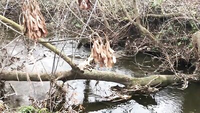 Gay Porn in Nature - Big Cocks and Hot Orgasms in the Great Outdoors!