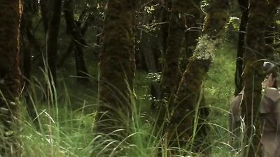 True Music Movies: The Ultimate Gay Porn Experience