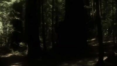 True Music Movies: The Ultimate Gay Porn Experience