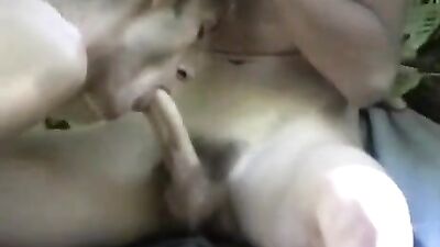 Outdoor Cum Shots: Woodland Creatures in Habitat Gay Porn Videos