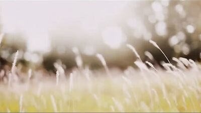 Movies Music Never Fade Away