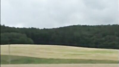 Blow Job Reunion - The Ultimate Gay Porn Video!