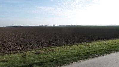 Gay Porn Video - Sucking Cock - The Ultimate Blowjob Experience!