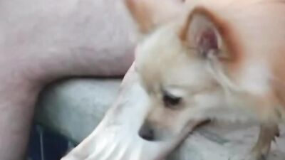 Feet Worship in the Pool - The Ultimate Foot Fetish Experience