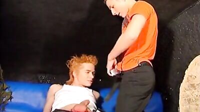 Shakydown Boyz: Nordic Bareback Heat