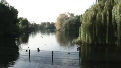 City Fuckers: Big Cocks, Cum Shots and Oral Pleasure