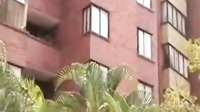 Latino Trio Heat: A Gay Porn Adventure!