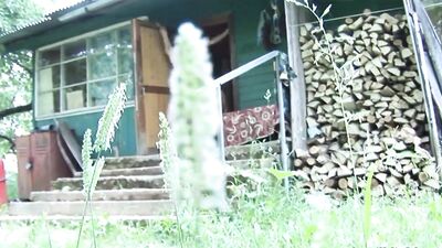 De Biman Hotboys 705: Unleashing the Heat