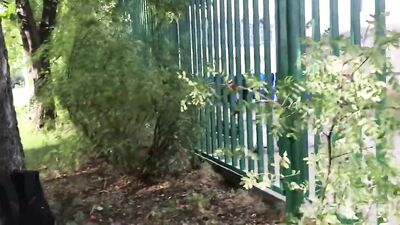 Outside Adventures: Fun Public Outdoor Voyeur - Gay Porn Video!