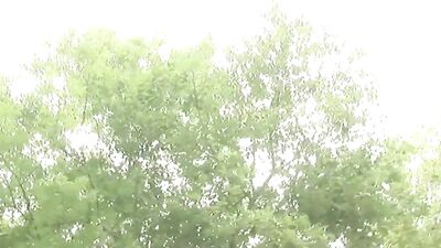 Gay Porn Video - Outdoors at Cute: Bareback Big Cocks Public Outside