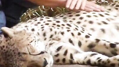 Out in Africa hd 2 hrs.