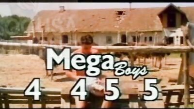 Horny Public Outlaws - Gnadenlos Geil