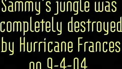 Sammy Case: Back for More!