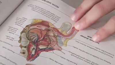 Hardcore Education: From Desk F**ks to Twink F**ck-Fests!