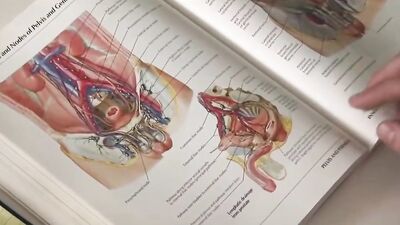 Hardcore Education: Twink Jocks Cum Shots!