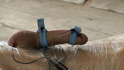 Hot BDSM Oral Cum Shots with Big Cocks - M Vid 5410 bigsucu Hot BDSM 31