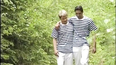 Forest Fury: The Ultimate Canadian Gay Porn Adventure!