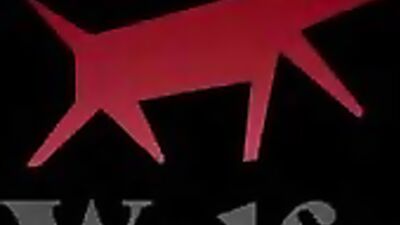 Test (Gay theme) subtítulos en español