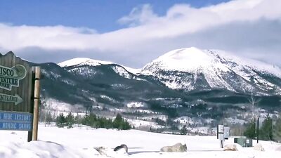 Winter Break Heat: Brian555 and Jamies Steamy Escapade!