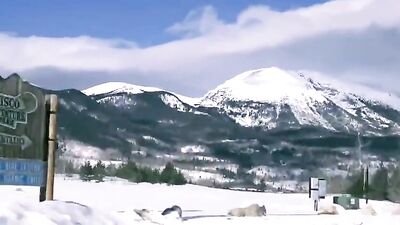 De Biman Hotboys 922: The Ultimate Cumshot Experience!