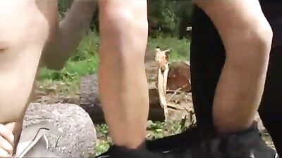 Mikes Forbidden Forest Fantasy