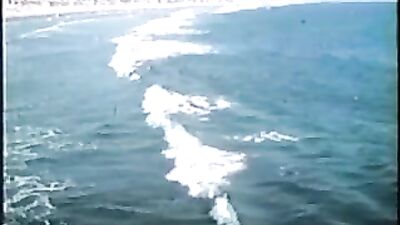 Scotts Summer Cum Shots: The Ultimate Vintage Bareback Experience