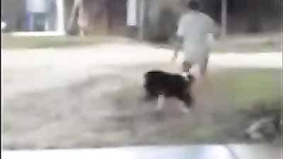 Basket Ball Boy vs Doggy Style - Amateur Fun with Jokers Fury