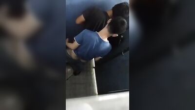 Outdoor Public Twinks Toilet