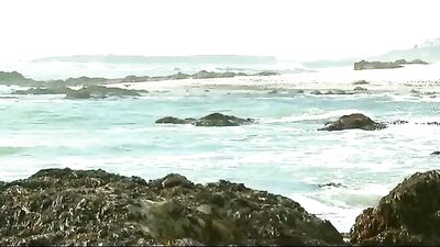 Gay Porn Double Anal Orgasm - Bareback Big Cocks Cum Shots Gay Porn Double Anal Orgasm - Bareback Big Cocks Cum Shots