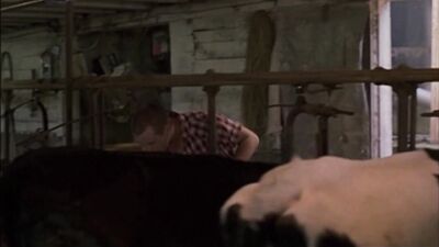 Gay Porn Camping Boys: Rural Passions Unleashed!