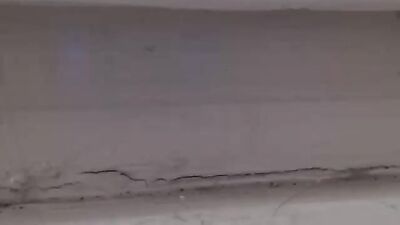 Mewtwos Cam Show: Action Cum Shots Fun!