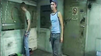 Young Twink Sex Drive: Action-Packed Gay Porn Video!