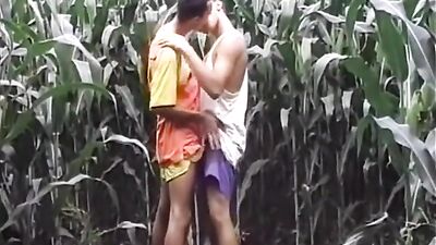 Summer Boys: Hot Gay Porn Action!