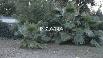 Interracial Bath Guys: The Ultimate Gay Porn Experience!