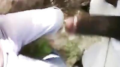 Sucking Black Cock in the Park - Exploring Gay Porns Raw Passion