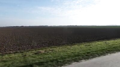 Forest Lust: A Sucking Adventure in the Woods!