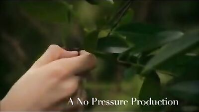 Intensity of Adolescent Romance & Forbidden Love