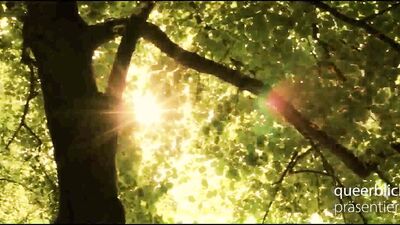 Semicolon - English subtitles