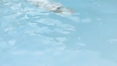 De Biman Hotboys 1047: Raw Cum Shots Action